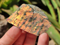 Polished One Side Labradorite Display Piece x 24 From Madagascar