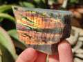 Polished One Side Labradorite Display Piece x 24 From Madagascar