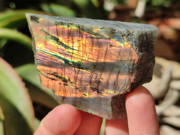 Polished One Side Labradorite Display Piece x 24 From Madagascar