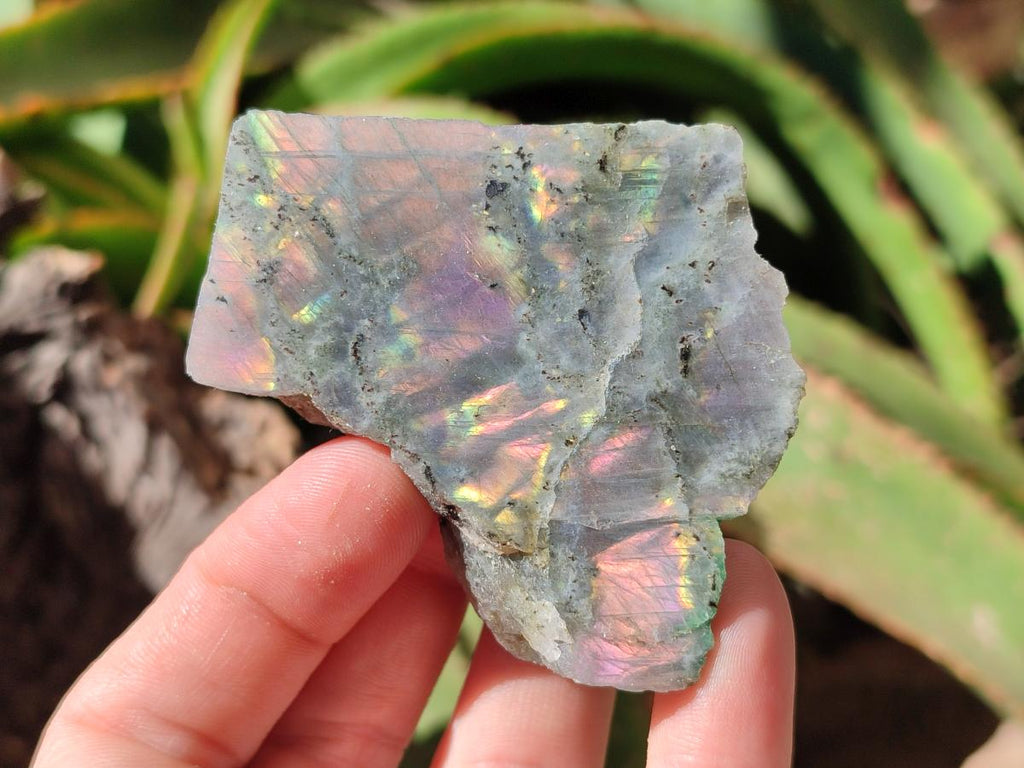 Polished One Side Labradorite Display Piece x 24 From Madagascar