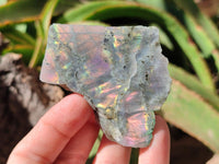 Polished One Side Labradorite Display Piece x 24 From Madagascar