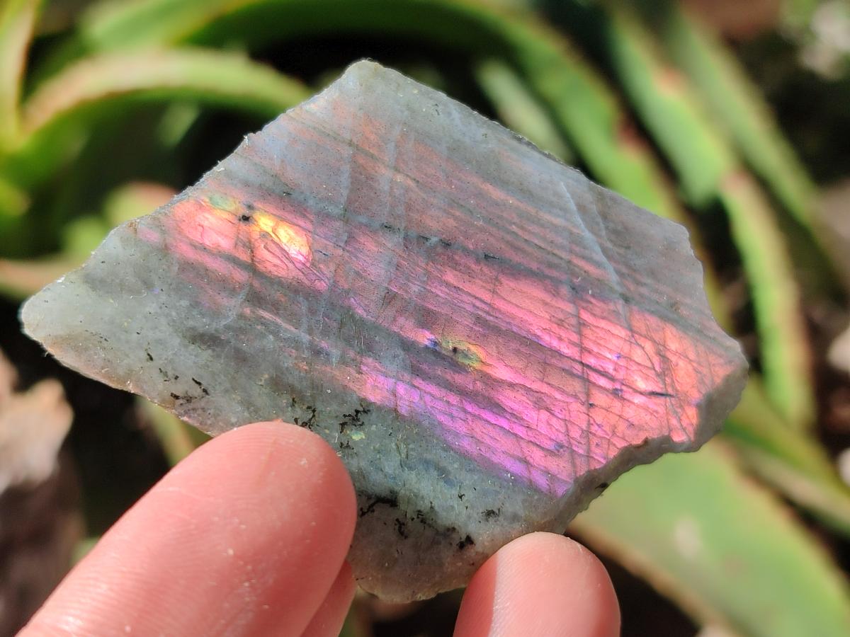 Polished One Side Labradorite Display Piece x 24 From Madagascar