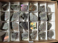 Polished One Side Labradorite Display Piece x 24 From Madagascar