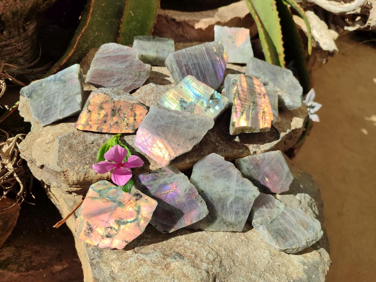 Polished One Side Labradorite Display Piece x 24 From Madagascar