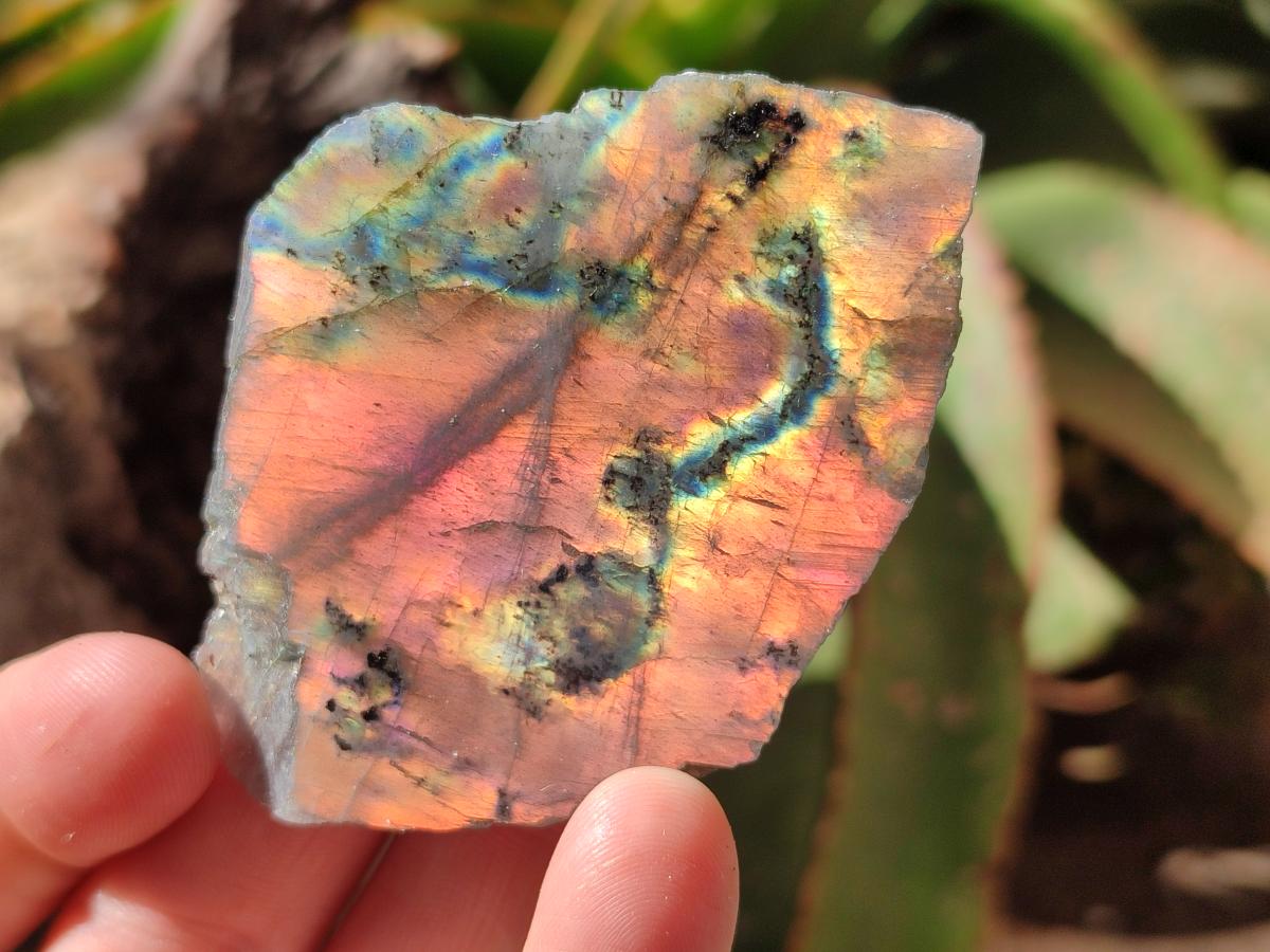 Polished One Side Labradorite Display Piece x 24 From Madagascar