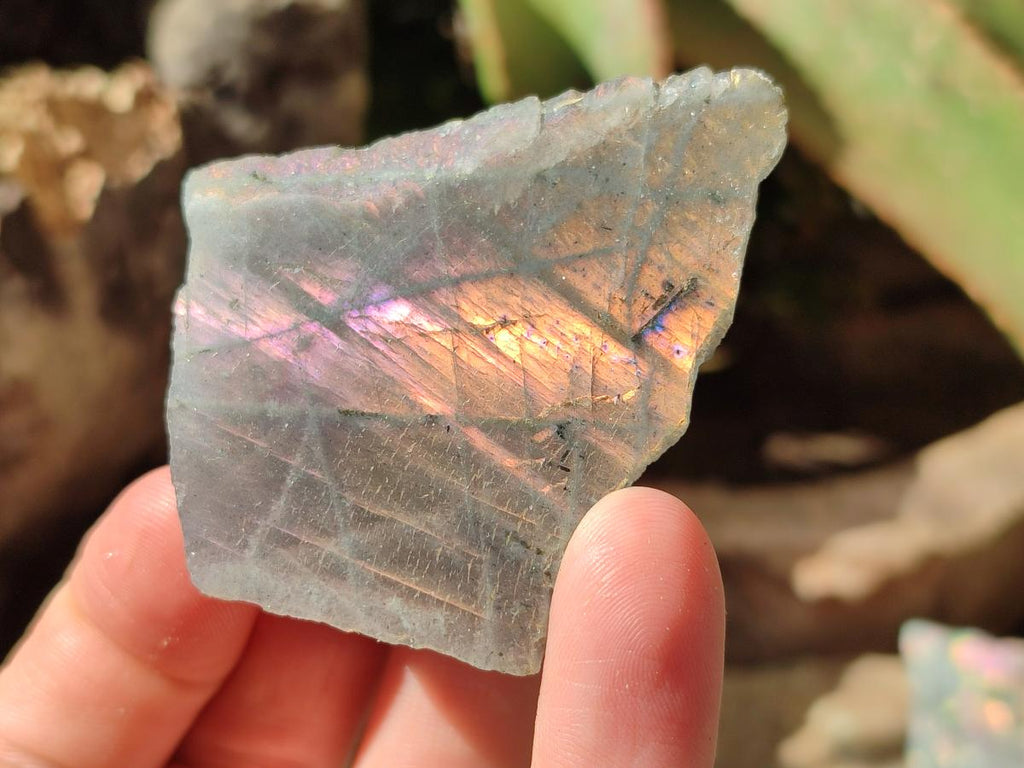 Polished One Side Labradorite Display Piece x 24 From Madagascar