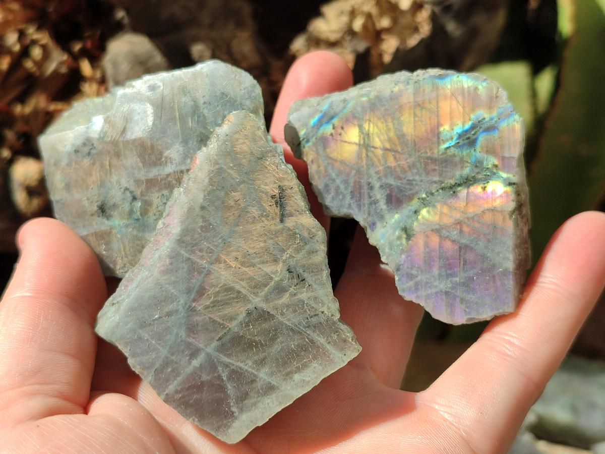 Polished One Side Labradorite Display Piece x 24 From Madagascar