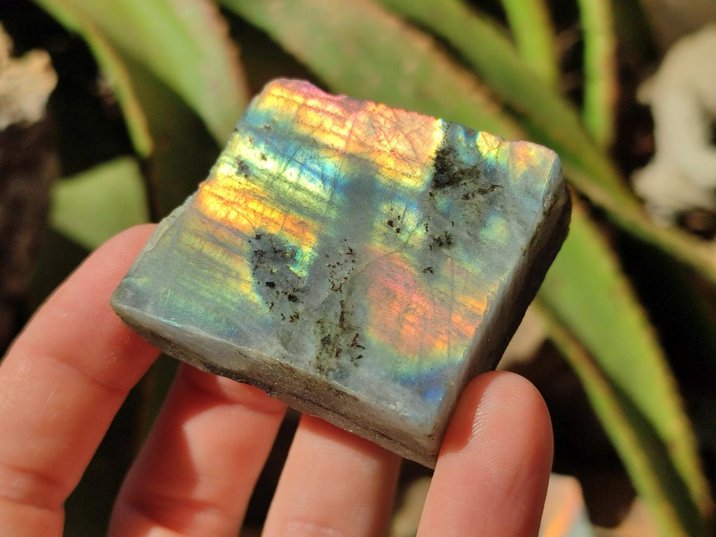 Polished One Side Labradorite Display Piece x 24 From Madagascar