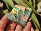 Polished One Side Labradorite Display Piece x 24 From Madagascar