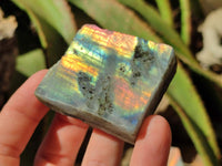 Polished One Side Labradorite Display Piece x 24 From Madagascar