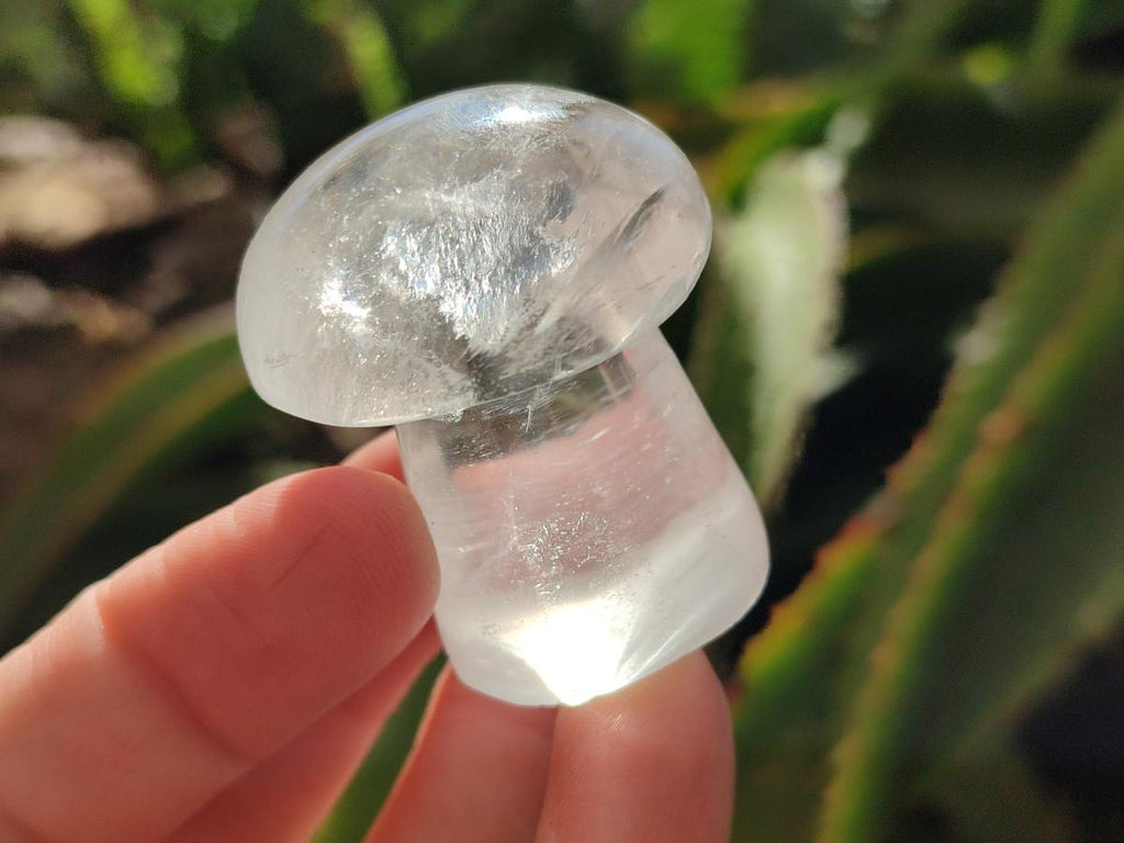Polished Clear Quartz Mushrooms x 20 From Madagascar