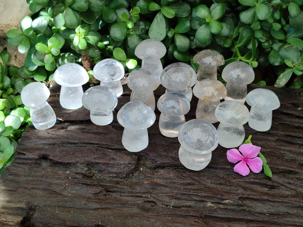 Polished Clear Quartz Mushrooms x 20 From Madagascar