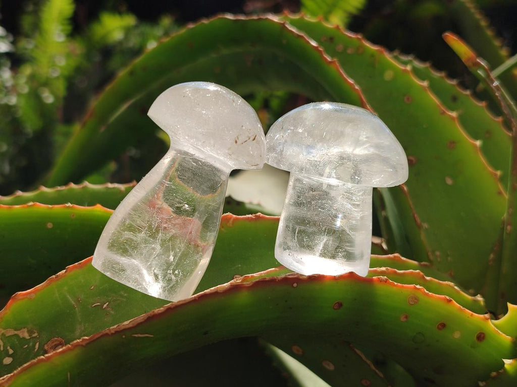 Polished Clear Quartz Mushrooms x 20 From Madagascar