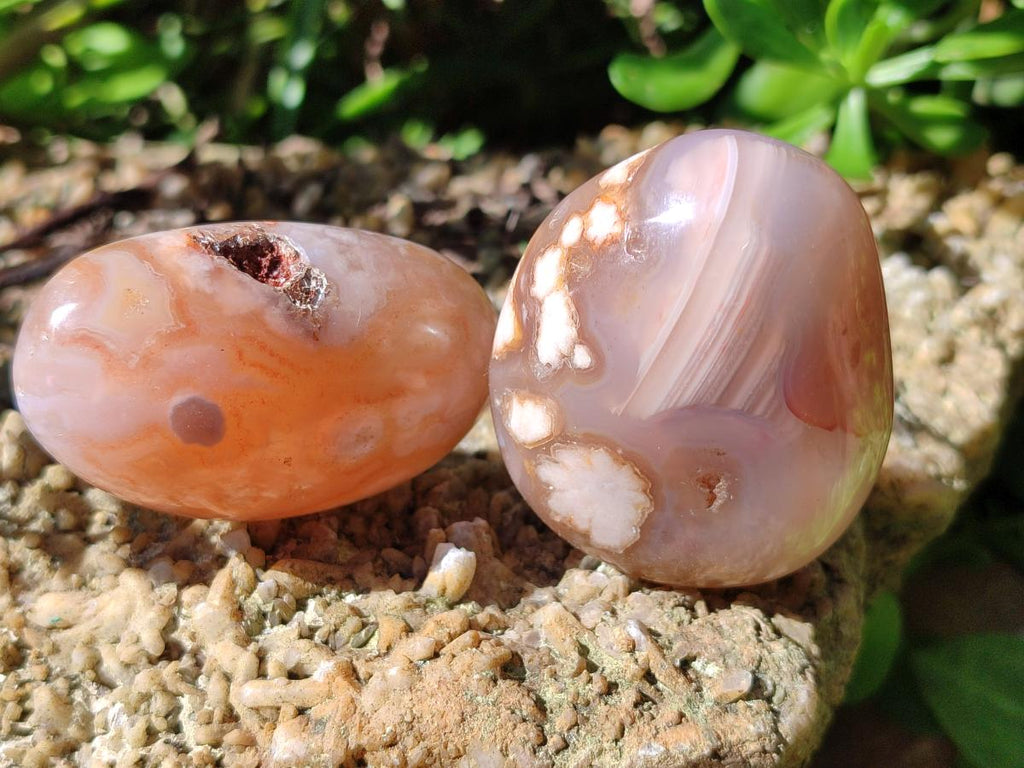 Polished Flower Agate Palm Stones x 12 From Antsahalova, Madagascar