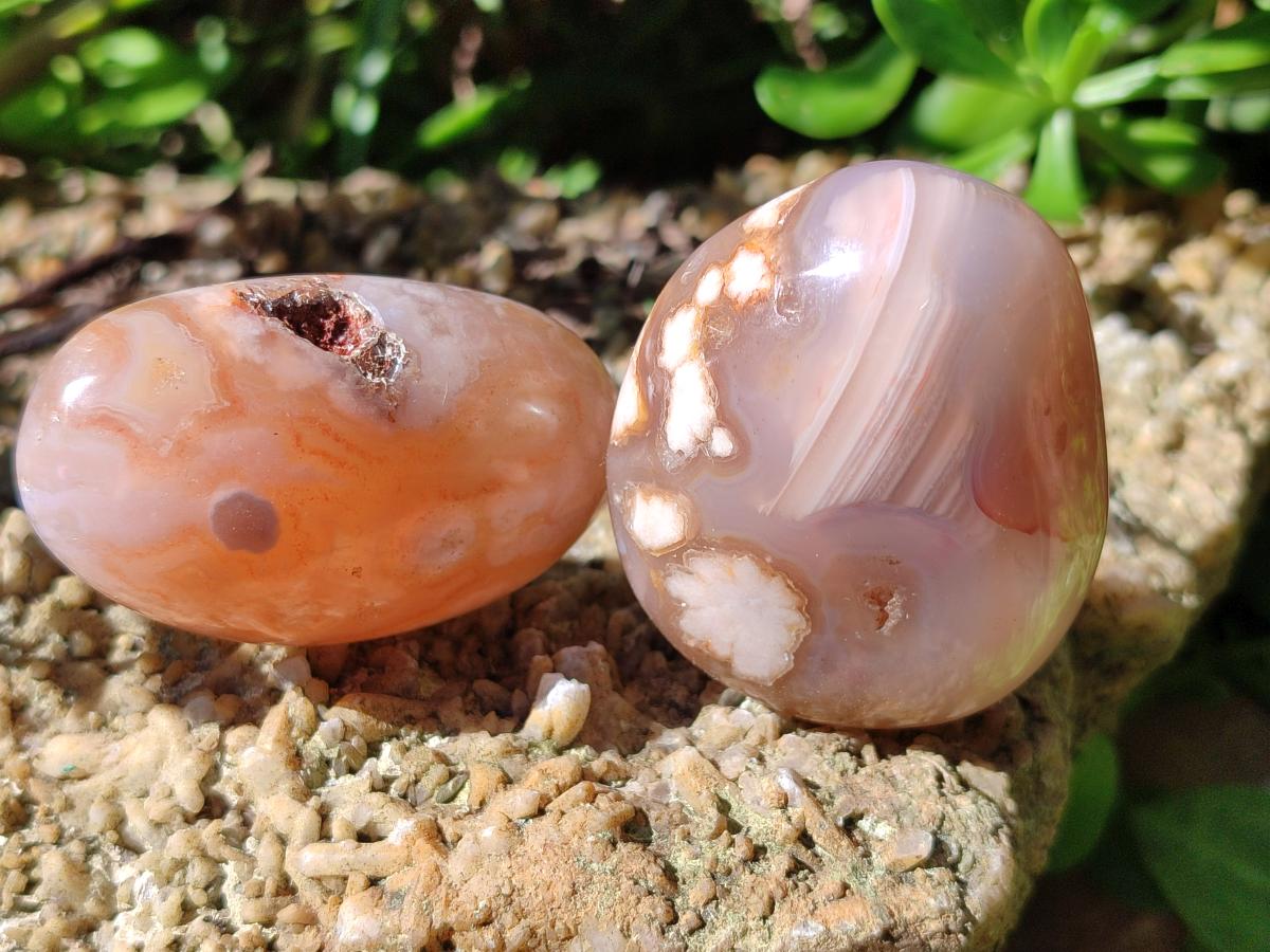 Polished Flower Agate Palm Stones x 12 From Antsahalova, Madagascar