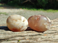 Polished Flower Agate Palm Stones x 12 From Antsahalova, Madagascar