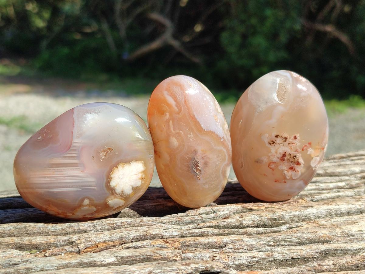 Polished Flower Agate Palm Stones x 12 From Antsahalova, Madagascar