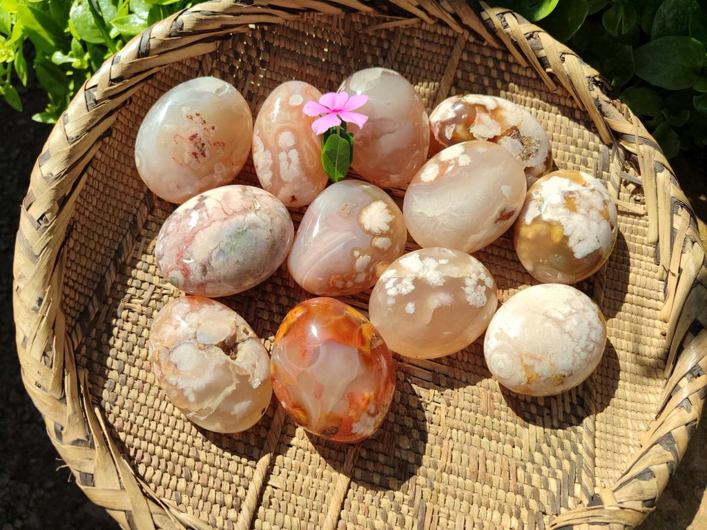 Polished Flower Agate Palm Stones x 12 From Antsahalova, Madagascar