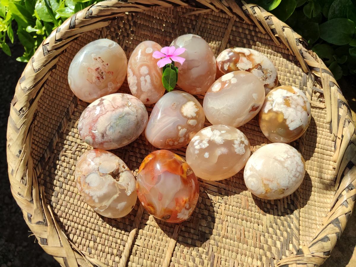 Polished Flower Agate Palm Stones x 12 From Antsahalova, Madagascar