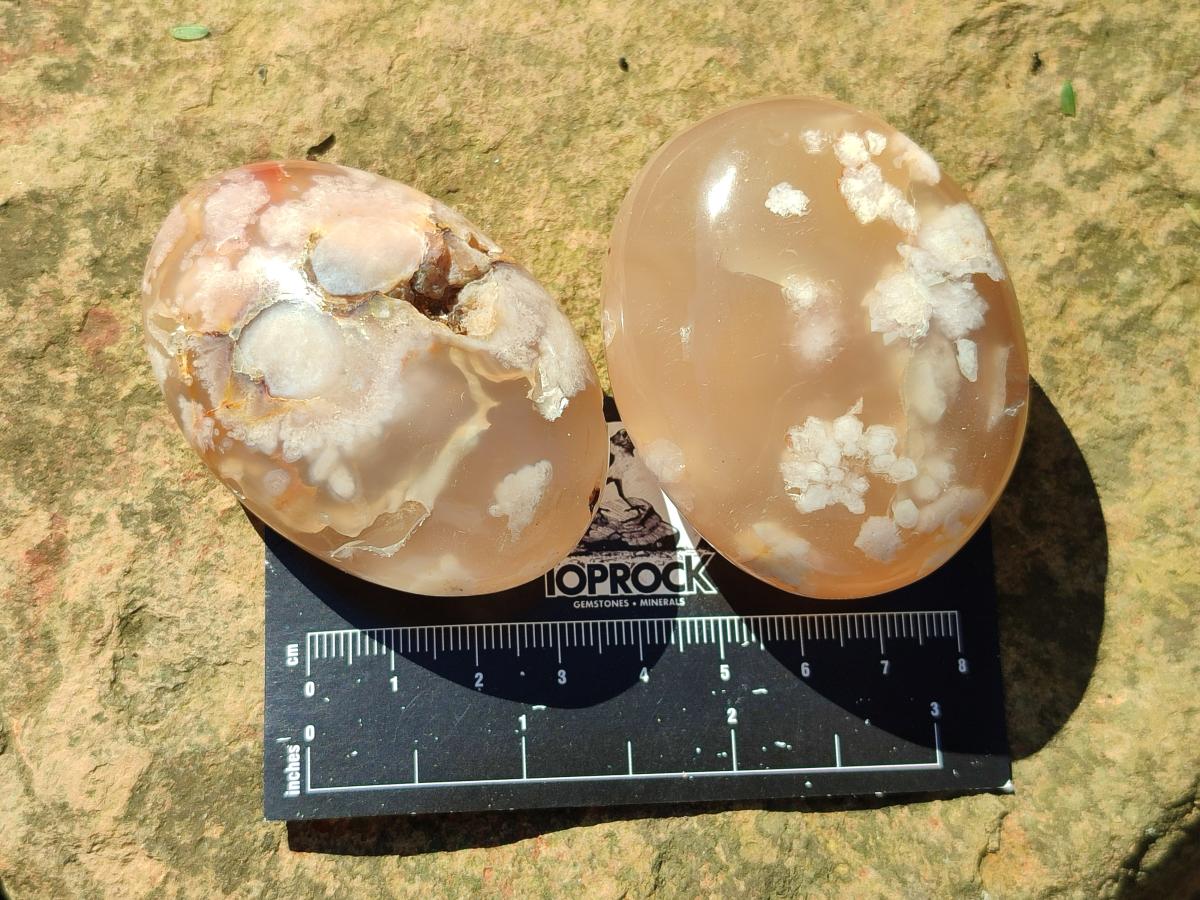 Polished Flower Agate Palm Stones x 12 From Antsahalova, Madagascar