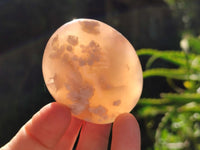 Polished Flower Agate Palm Stones x 12 From Antsahalova, Madagascar