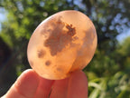 Polished Flower Agate Palm Stones x 12 From Antsahalova, Madagascar