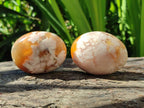 Polished Flower Agate Palm Stones x 12 From Antsahalova, Madagascar