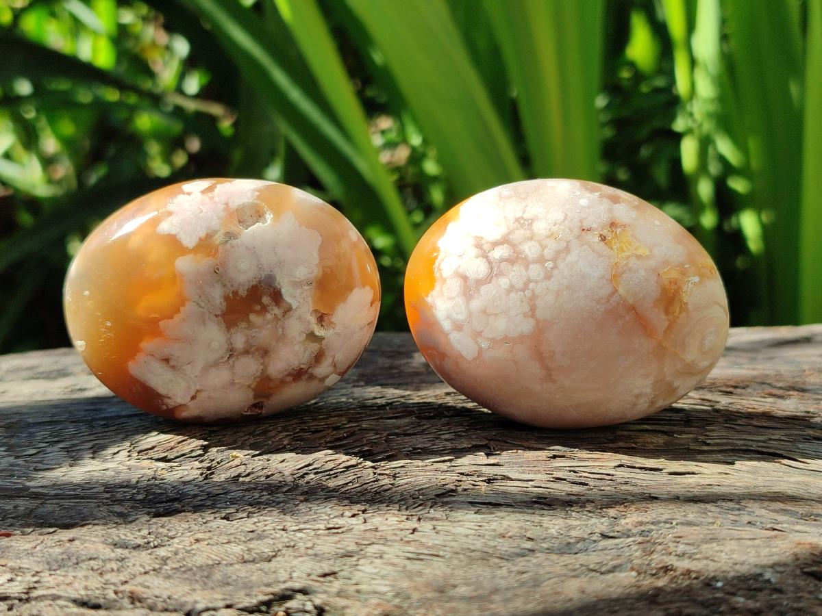 Polished Flower Agate Palm Stones x 12 From Antsahalova, Madagascar