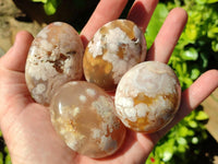 Polished Flower Agate Palm Stones x 12 From Antsahalova, Madagascar
