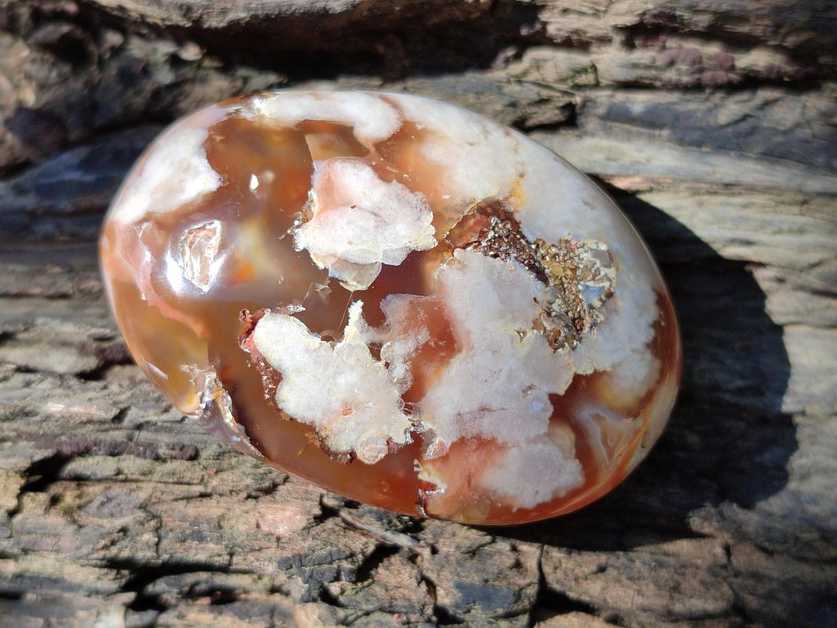 Polished Flower Agate Palm Stones x 12 From Antsahalova, Madagascar