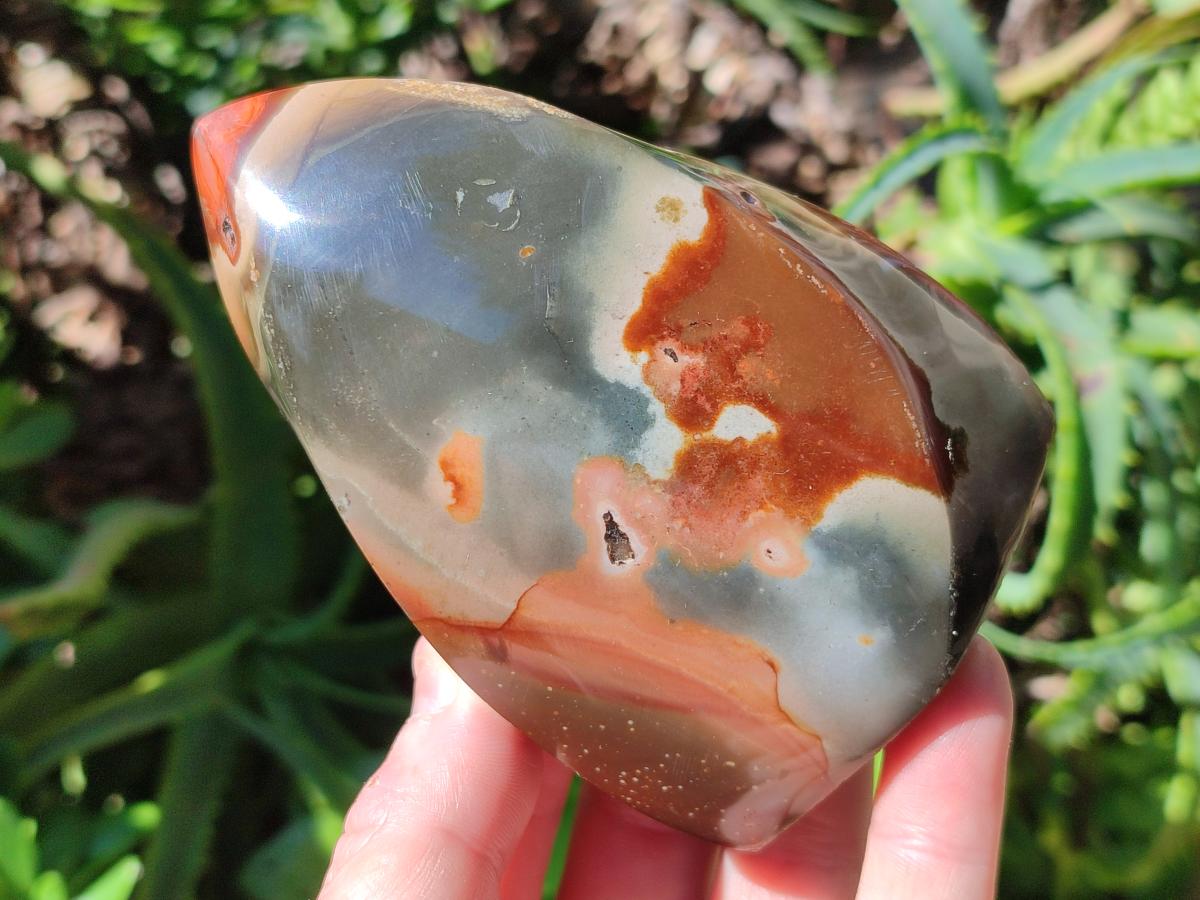 Polished Groovy Polychrome Jasper Flames x 6 From NW Coast, Madagascar