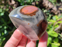 Polished Groovy Polychrome Jasper Flames x 6 From NW Coast, Madagascar