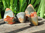 Polished Groovy Polychrome Jasper Flames x 6 From NW Coast, Madagascar