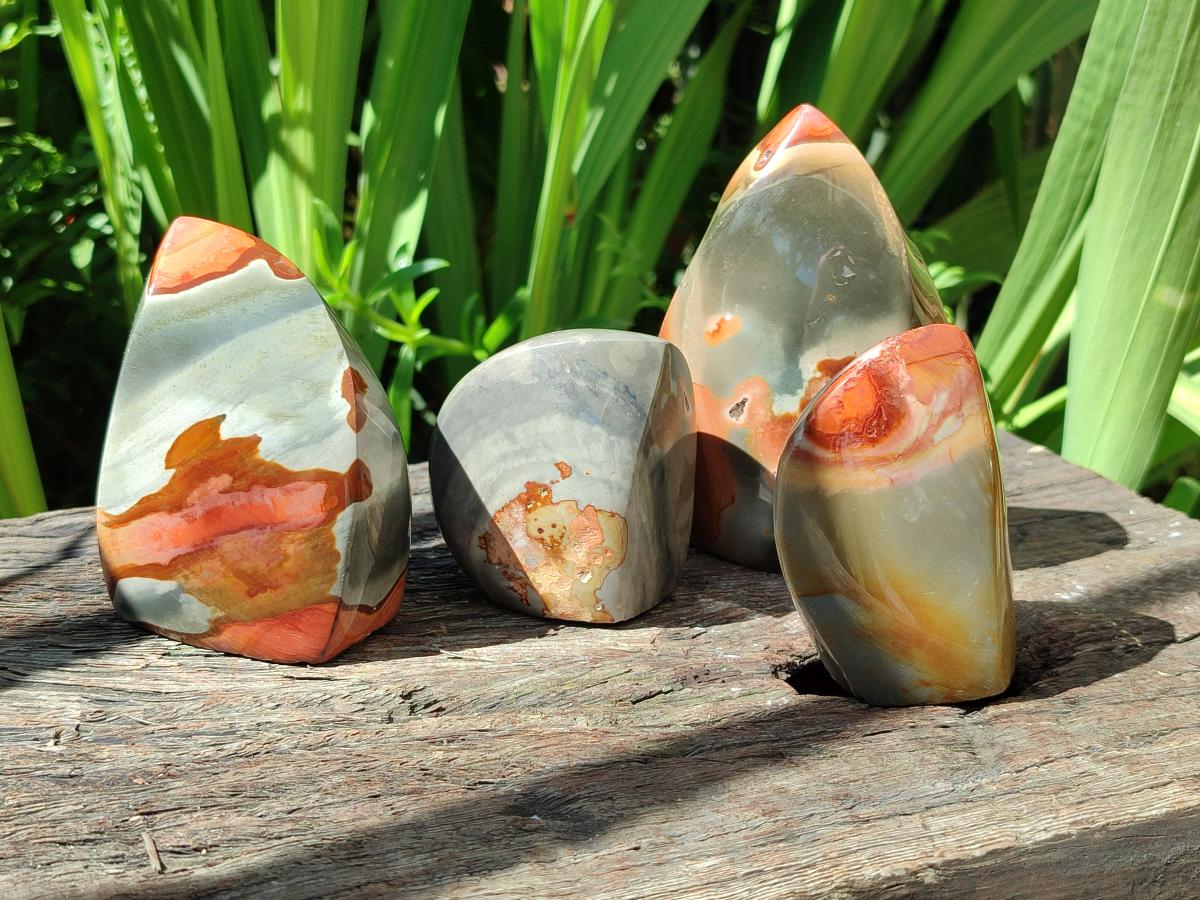 Polished Groovy Polychrome Jasper Flames x 6 From NW Coast, Madagascar