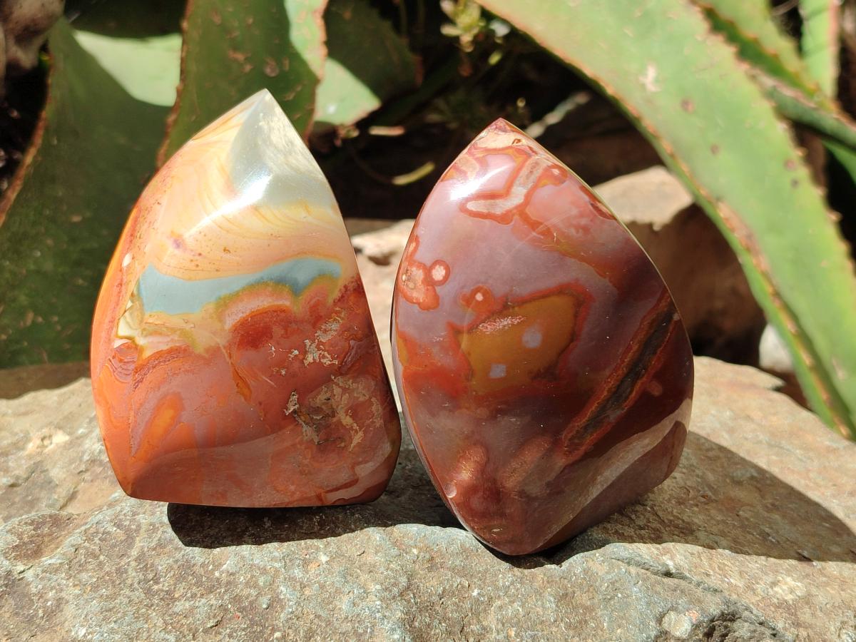 Polished Groovy Polychrome Jasper Flames x 6 From NW Coast, Madagascar