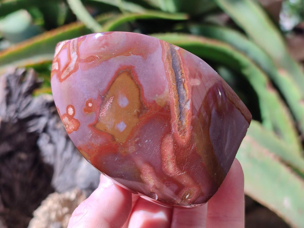 Polished Groovy Polychrome Jasper Flames x 6 From NW Coast, Madagascar