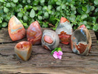 Polished Groovy Polychrome Jasper Flames x 6 From NW Coast, Madagascar