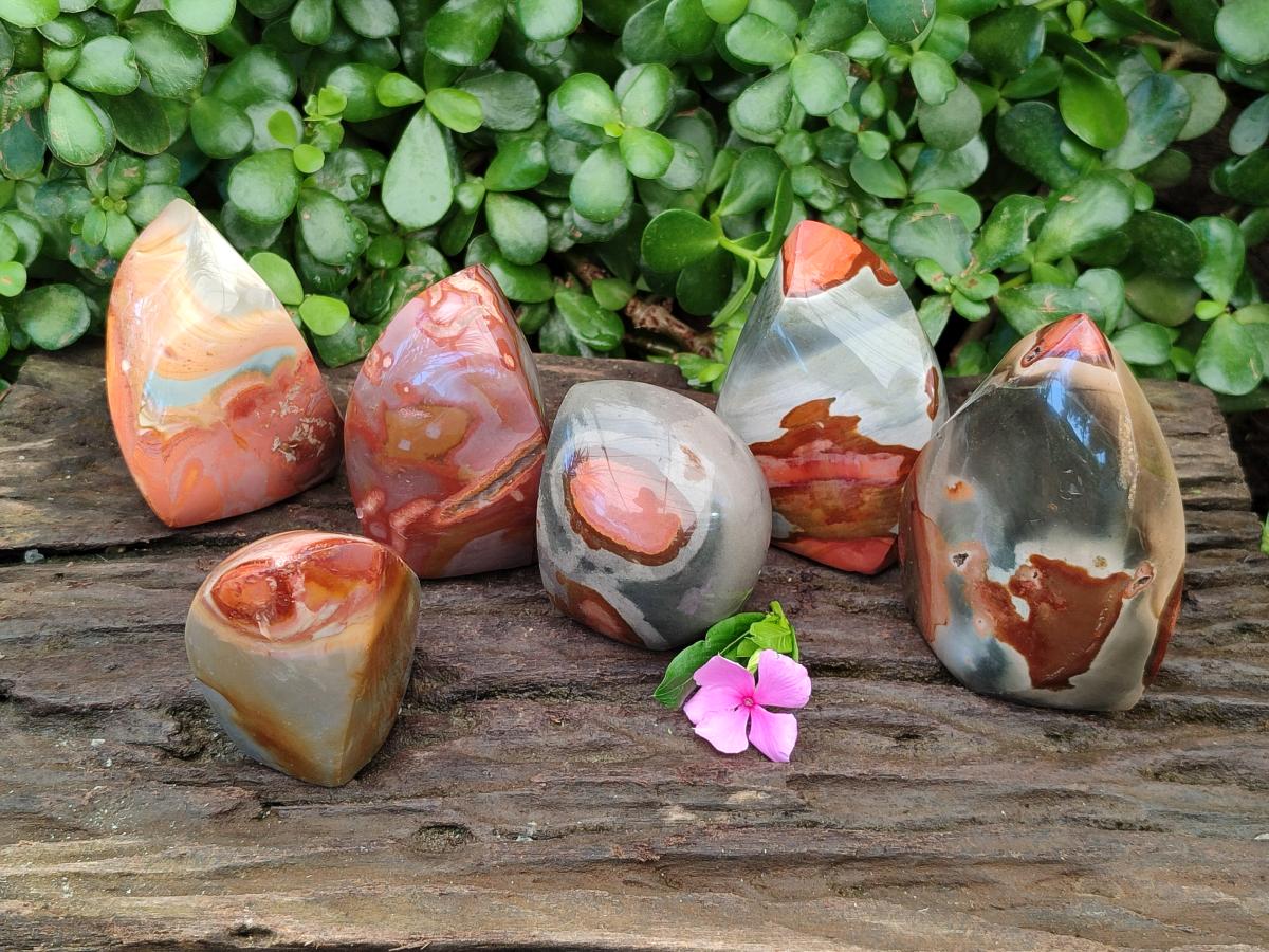 Polished Groovy Polychrome Jasper Flames x 6 From NW Coast, Madagascar