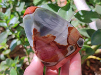 Polished Groovy Polychrome Jasper Flames x 6 From NW Coast, Madagascar