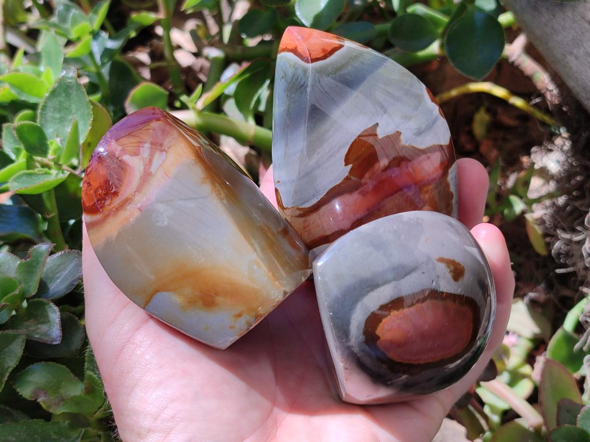 Polished Groovy Polychrome Jasper Flames x 6 From NW Coast, Madagascar