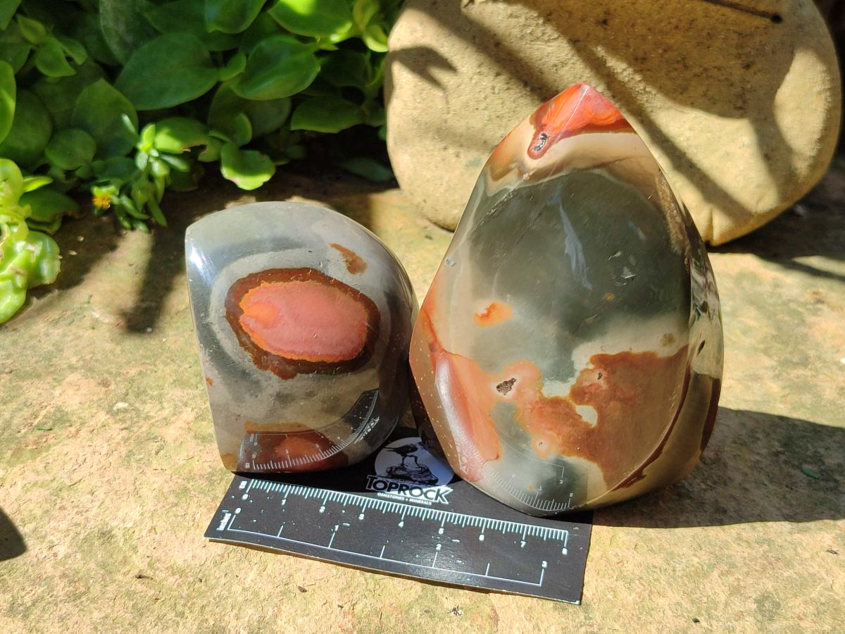 Polished Groovy Polychrome Jasper Flames x 6 From NW Coast, Madagascar