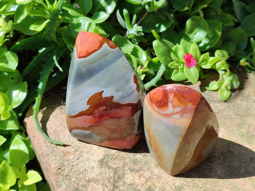 Polished Groovy Polychrome Jasper Flames x 6 From NW Coast, Madagascar