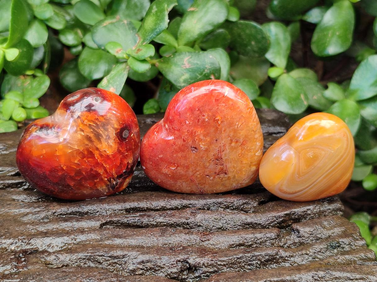 Polished Carnelian Agate Gemstone Hearts x 12 From Madagascar