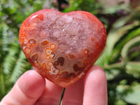 Polished Carnelian Agate Gemstone Hearts x 12 From Madagascar