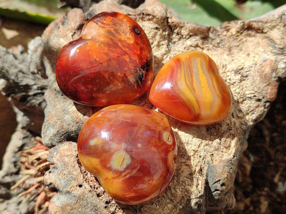 Polished Carnelian Agate Gemstone Hearts x 12 From Madagascar