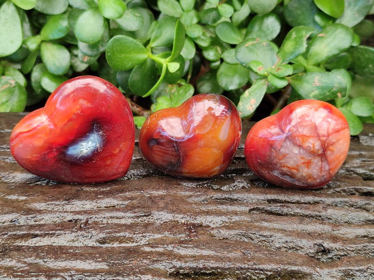 Polished Carnelian Agate Gemstone Hearts x 12 From Madagascar