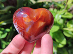 Polished Carnelian Agate Gemstone Hearts x 12 From Madagascar