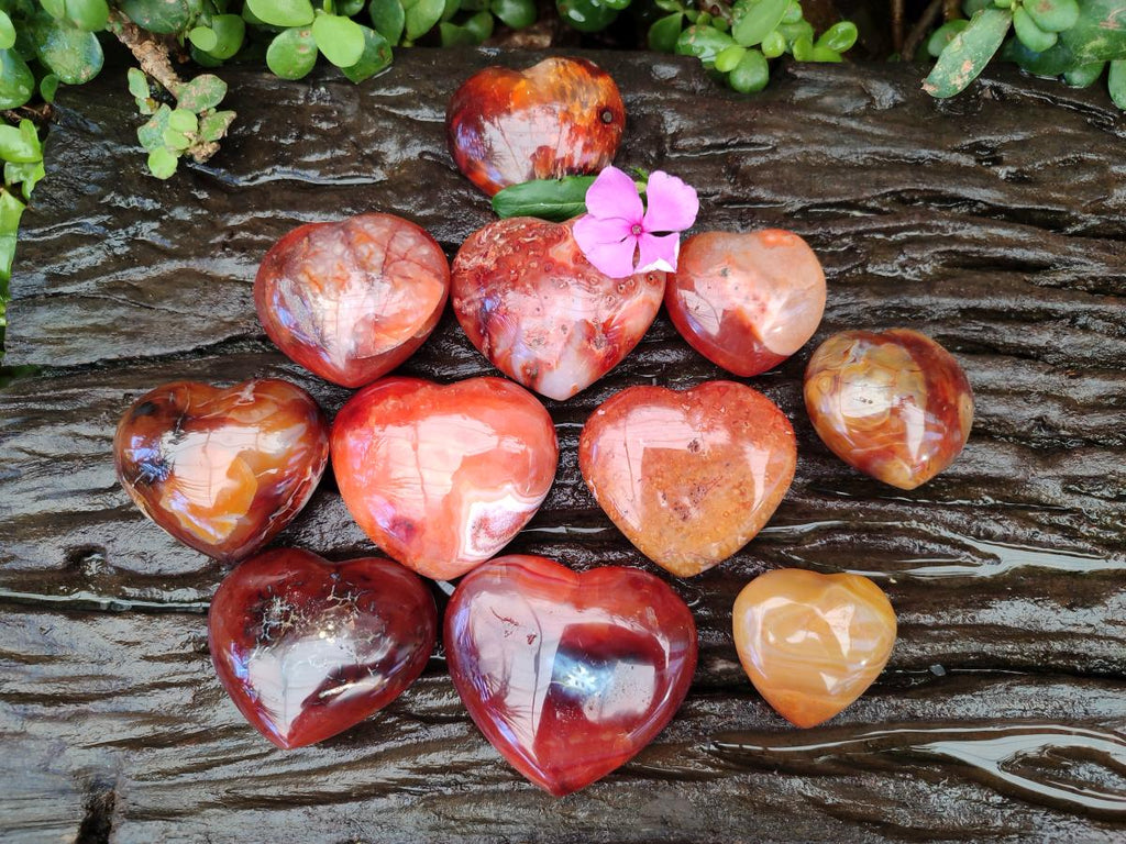 Polished Carnelian Agate Gemstone Hearts x 12 From Madagascar