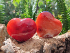 Polished Carnelian Agate Gemstone Hearts x 12 From Madagascar