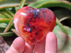 Polished Carnelian Agate Gemstone Hearts x 12 From Madagascar